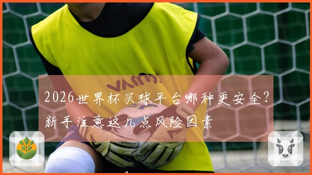 2026世界杯买球平台哪种更安全？新手注意这几点风险因素