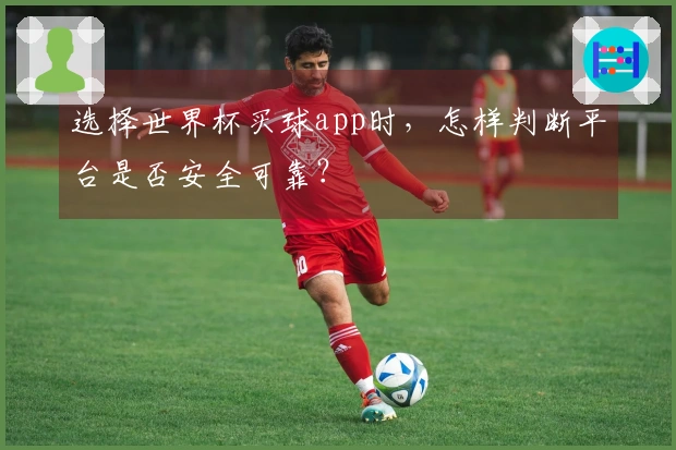 选择世界杯买球app时，怎样判断平台是否安全可靠？