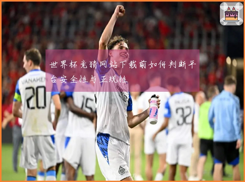 世界杯竞猜网站下载前如何判断平台安全性与正规性