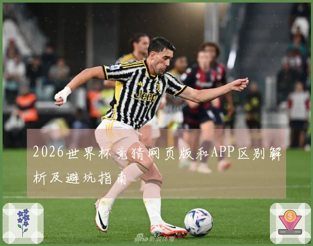 2026世界杯竞猜网页版和APP区别解析及避坑指南
