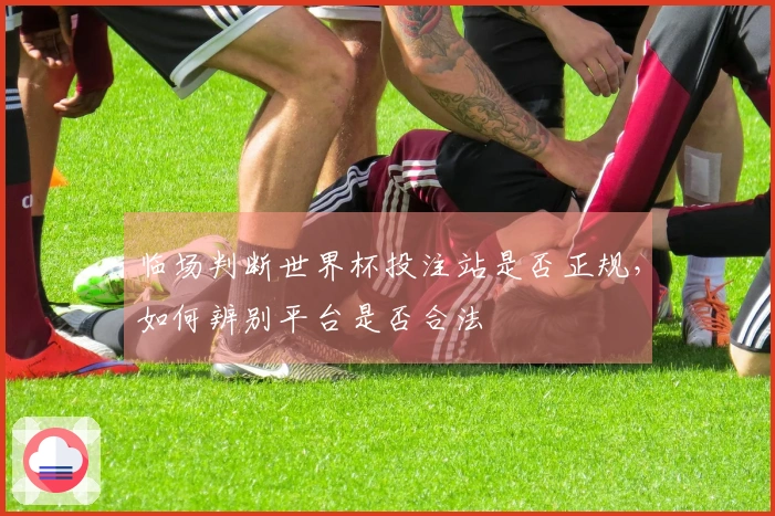 临场判断世界杯投注站是否正规，如何辨别平台是否合法