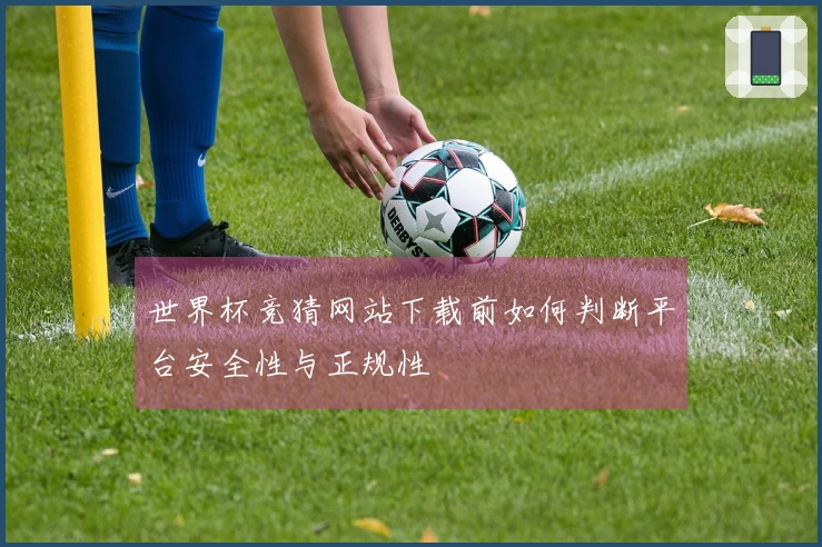 世界杯竞猜网站下载前如何判断平台安全性与正规性