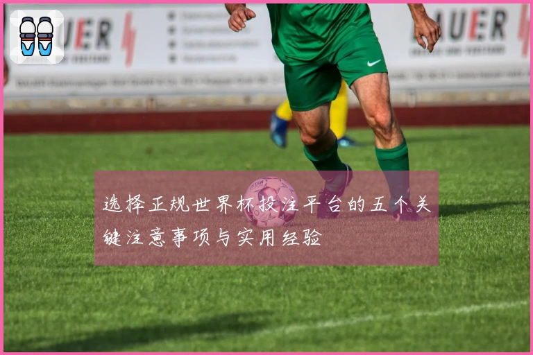选择正规世界杯投注平台的五个关键注意事项与实用经验